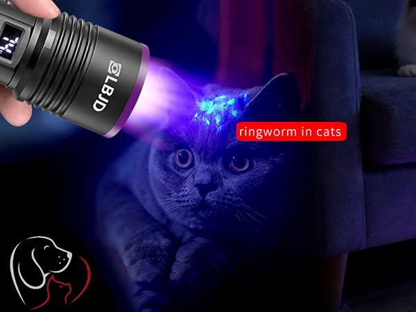 car urine uv light