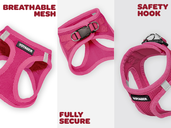 best dog harness for small dogs