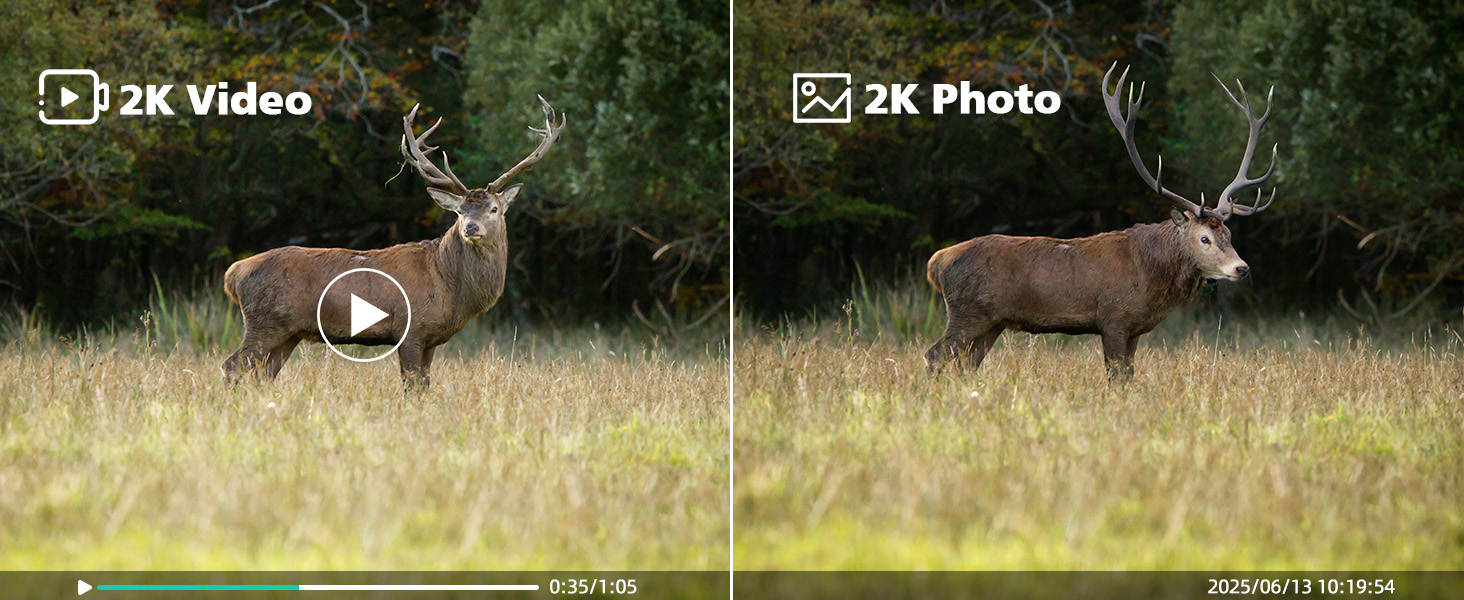 cellular trail camera with live feed,wildlife camera,deer camera