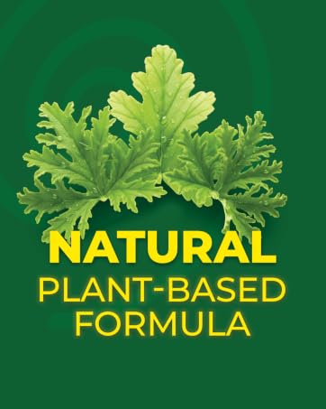 KING Citronella Mosquito Coils - Natural Plant Based Formula