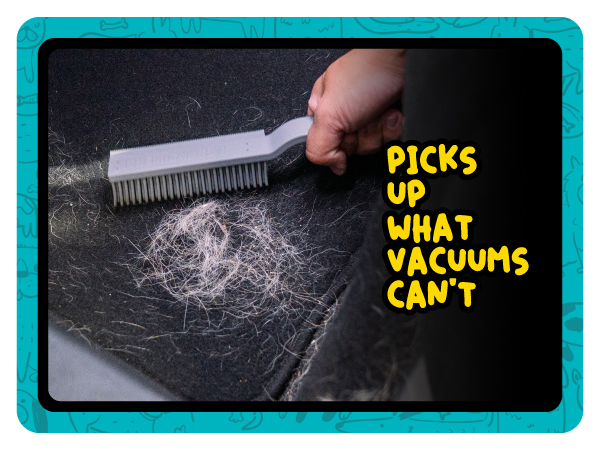 Chemical Guys Grubbie - rubber bristle brush for pet hair in cars, homes, and RVs