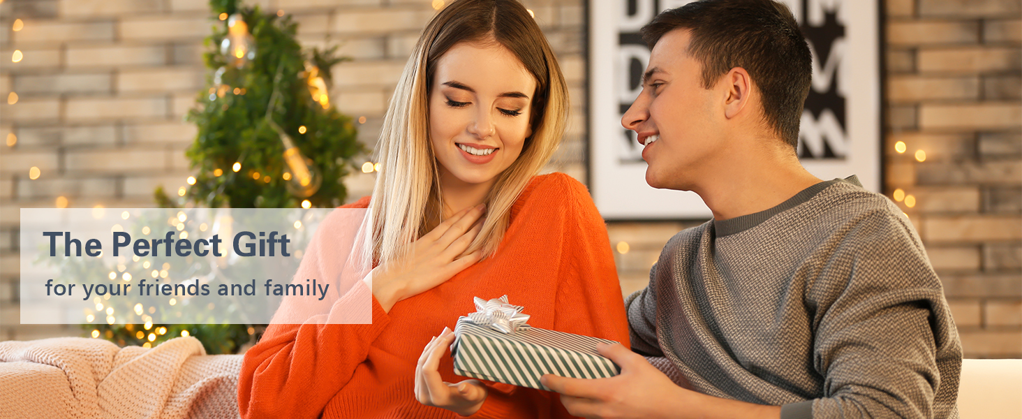 Milk Frother Handheld