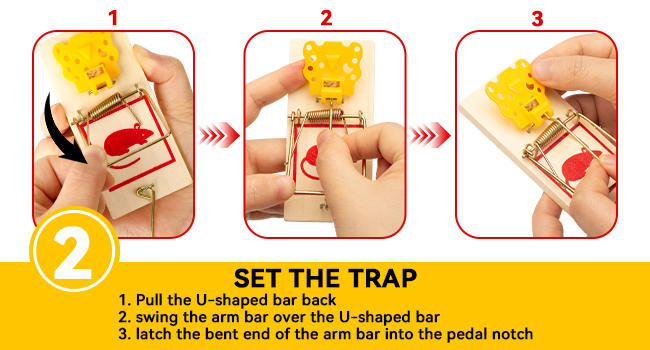 Mouse Traps
