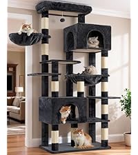 https://m.media-amazon.com/images/I/51pvy51xmVL.__AC_SR200,225___.jpg