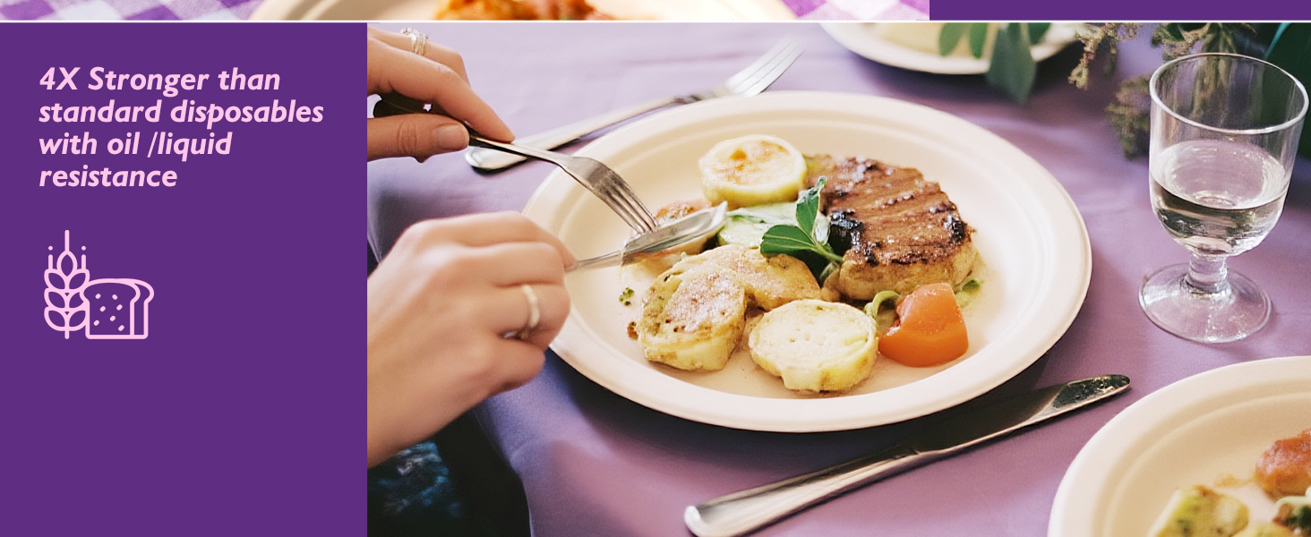 Compostable Paper Plates