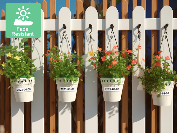 phomemo p12 label tape