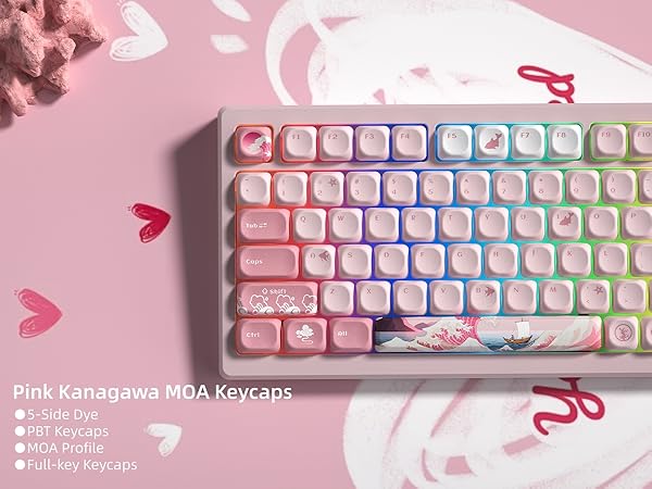 PBT Keycaps for Mechanical Keyboard,75 Percent Dye-Sublimation Custom Keycaps Set