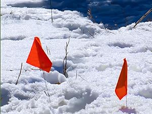 landscape flags