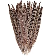 10 Pcs Long Pheasant Tail Feathers Natural Pheasant Feathers Floral Arrangement Feathers Feather ...