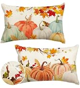 RABUSOFA Fall Pillow Covers 12x20 Inch Set of 2 Thanksgiving Autumn Orange White Teal Pumpkin Map...