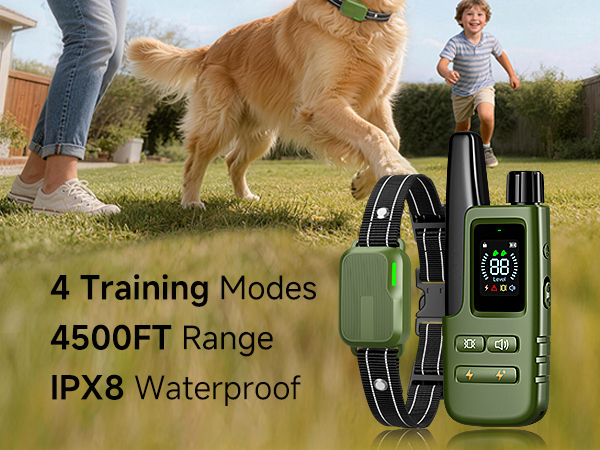 dog shock collar with remote control