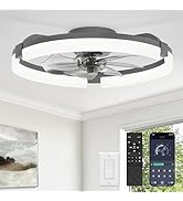LEDIARY 20" Ceiling Fans with Lights and Remote, Modern Low Profile Ceiling Fan, 3 CCT, Stepless ...