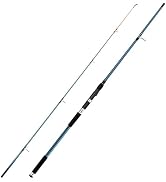 Dr.Fish Spinning Fishing Rod for Surf Fishing, 3 Section Carbon Fiber Stainless Steel Guide EVA G...