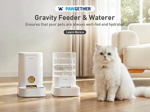 cat food dispenser