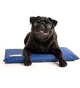 CoolerDog Dog Cooling Pad Dog Cooling Products Hydro Cooling Mat (18"x10.5") (Mini)