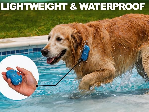 tracker for dogs