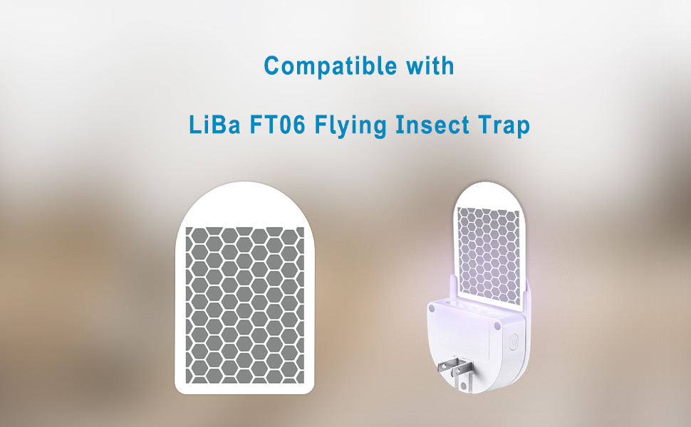 Replacement Sticky Glue Boards for Fruit Fly Traps for Indoors