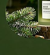 Car Air Freshener