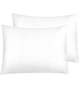 NTBAY Zippered Satin Pillow Cases for Hair and Skin, Luxury Standard Hidden Zipper Pillowcases Se...