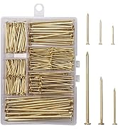 6 Sizes Gold Hardware Nails Assortment Kit, 358pcs, Brass Plated, Nails for Hanging Pictures, Fin...