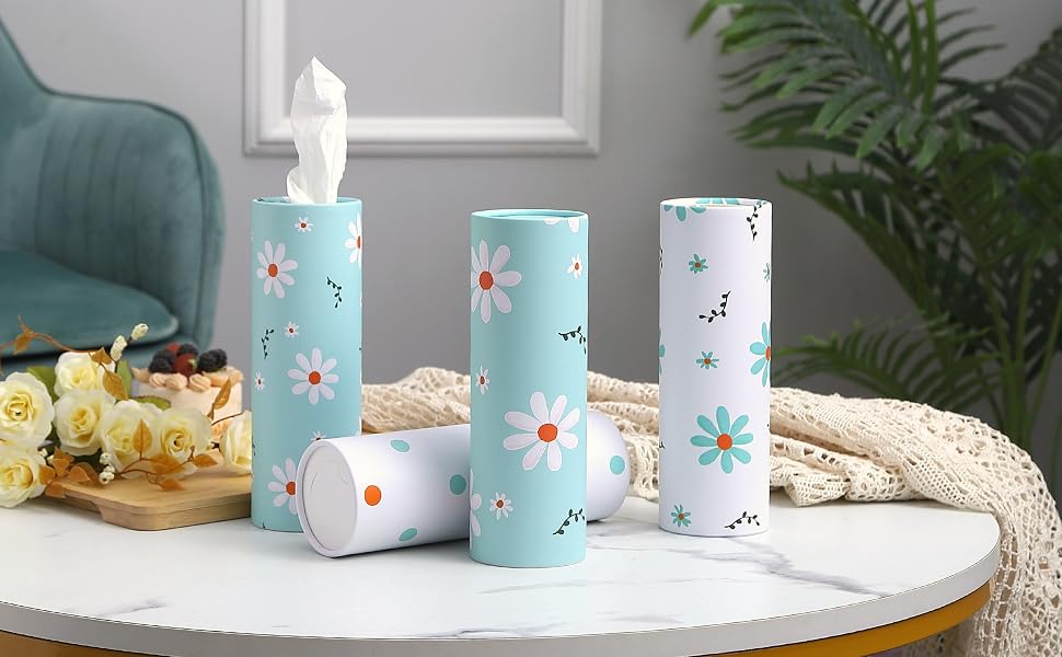 Car tissues for car