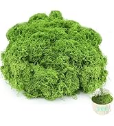 Fake Green Moss for Crafts.17.6OZ Decor Artificial Faux Moss for Potted Plants Indoor. Moss Prese...