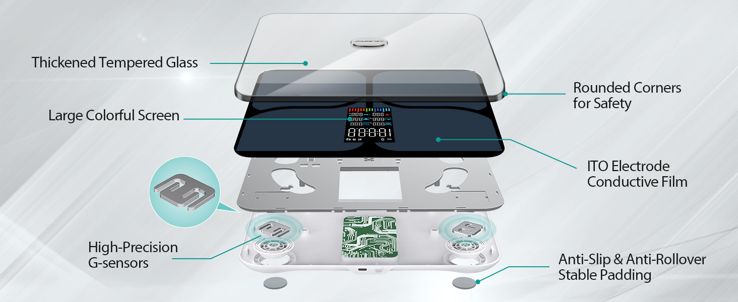 body composition scales most accurate