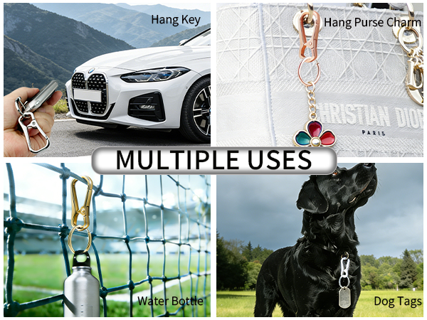 Versatile Metal Keychain Hook, Perfect for Key Holder, Dog Tag Clip, Lanyard Clip, Small Item Hook