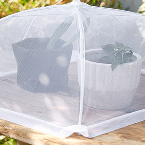 Food cover