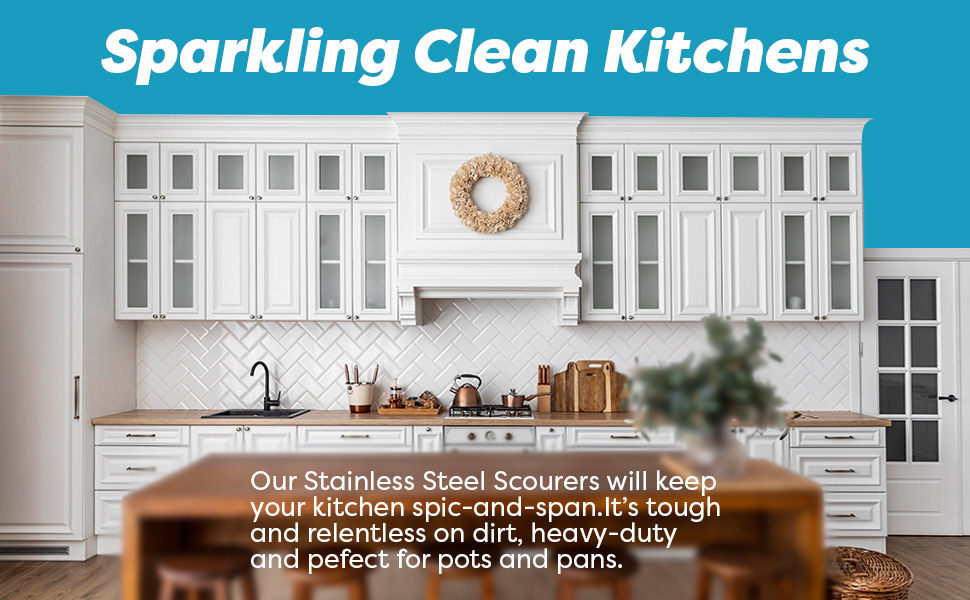 stainless steel scrubbers
