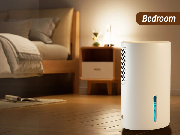 dehumidifier for bedroom
