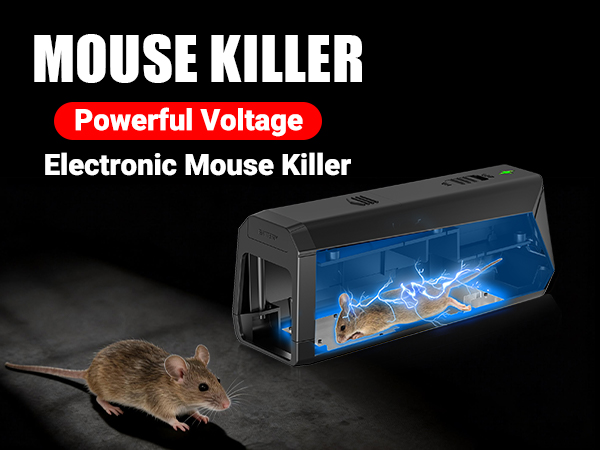 electronic mouse killer