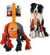 ALL FOR PAWS Dog Ball Toys with Rope & Dental Knots, Interactive Dog Balls Toy for Small Medium L...
