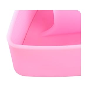 sushi mold