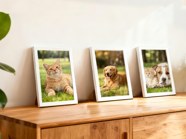 white picture frame