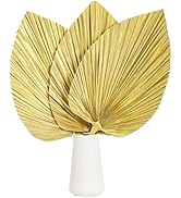 Large Dried Palm Leaves-17.7