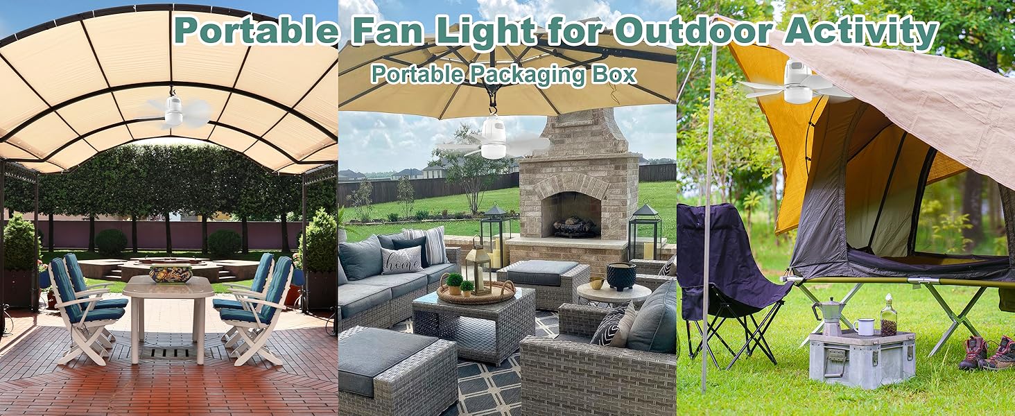 Portable Fan Light