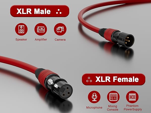 xlr male to female