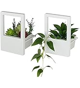 JACKCUBE Design White Wall Hanging Small Planter for Indoor- Set of 2 Ceramic Pots Planters for A...