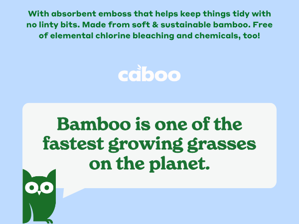 cleansing biodegradable plant renewable fiber sustainable softness absorbent travel camping outdoor