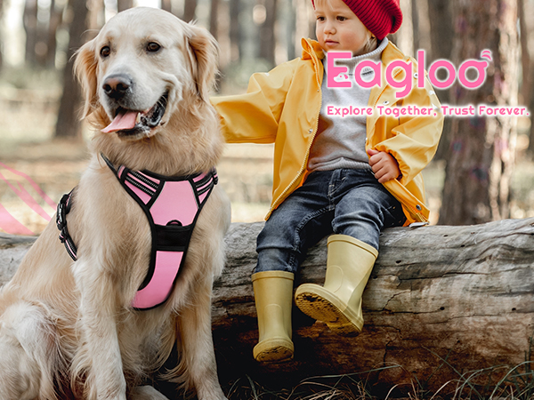 dog harness