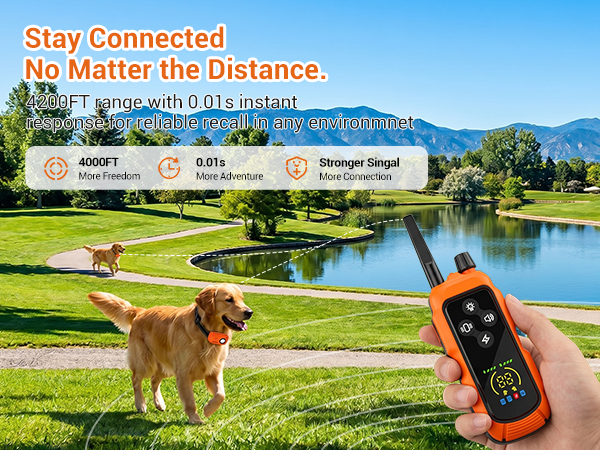dog training collar with remote