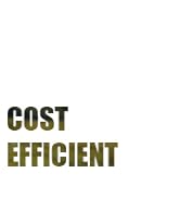 Cost-Efficient