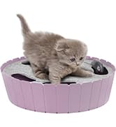 hideseek cat toys purple