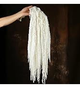 20 Stems Preserved Willow Branches - 16''-17'' Real Dried Pussywillow with White Flowers, N...