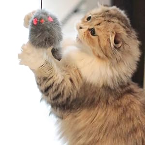 cat mice toy