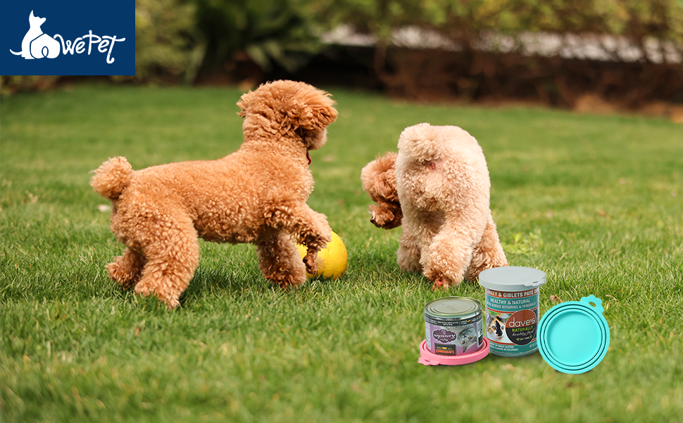 cat food lids;cat food storage;cat food cover;pet food storage;can lids for dog food;