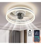 Ceiling Fan Light with Remote & App Control 20