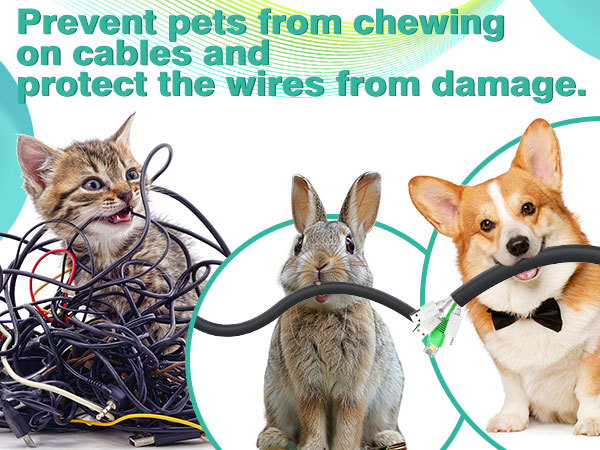 pet cord protect