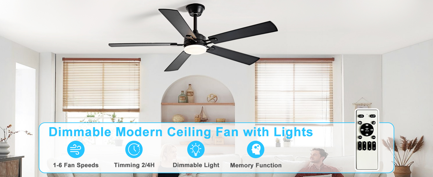 Black ceiling fan with light